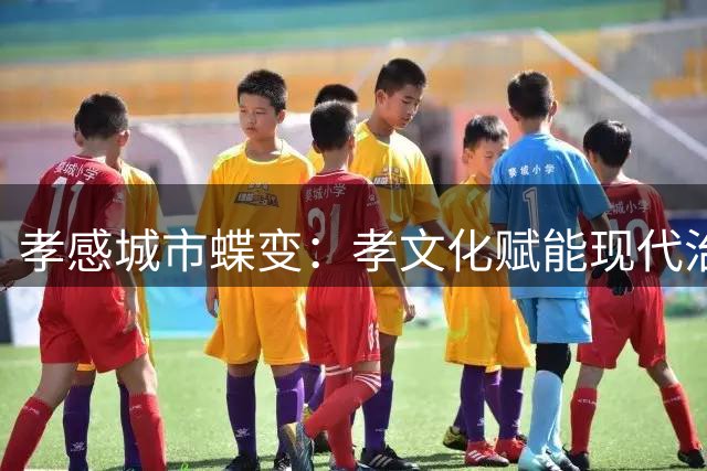 孝感城市蝶变：孝文化赋能现代治理打造宜居新样本