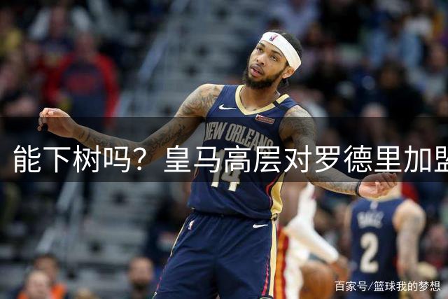能下树吗？皇马高层对罗德里加盟心存疑虑，赞助商和球迷极力支持